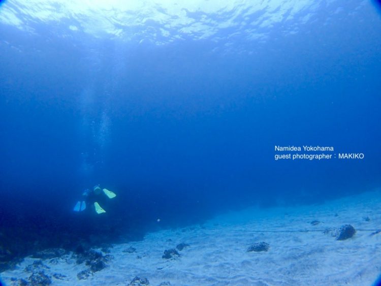 この青い海!!白い砂地!!これぞ富戸の海!!