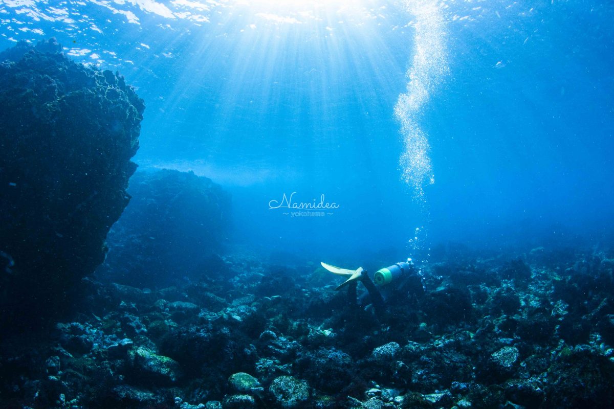 2020Namidea伊豆大島ツアー風景！