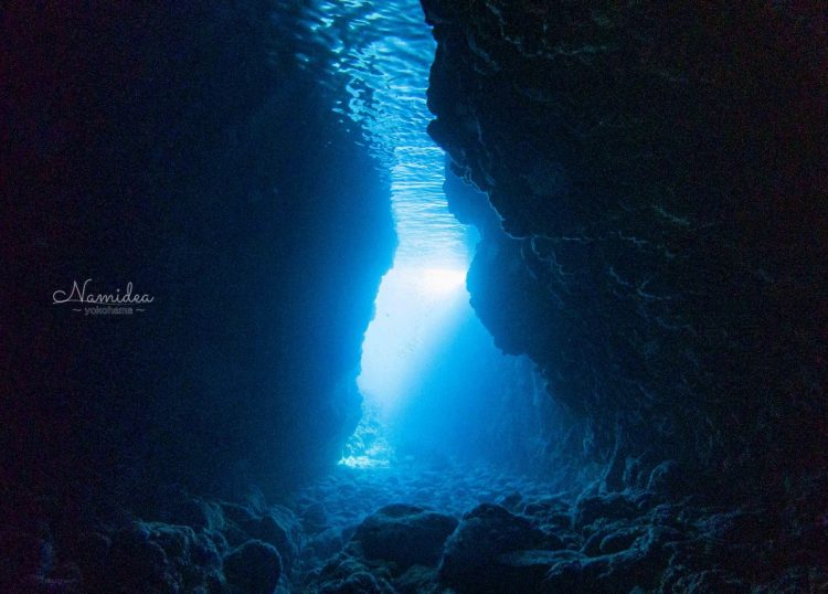 Namidea 2020春のコテージツアー!