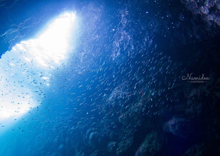 Namidea 2020春のコテージツアー!