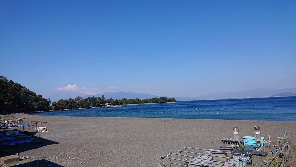 平日ガラガラの大瀬崎で貸切ダイビング