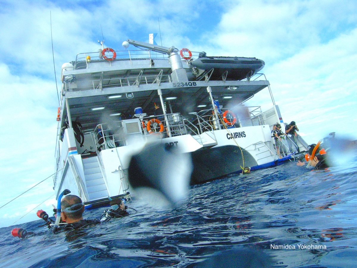 スポイルスポートの船尾