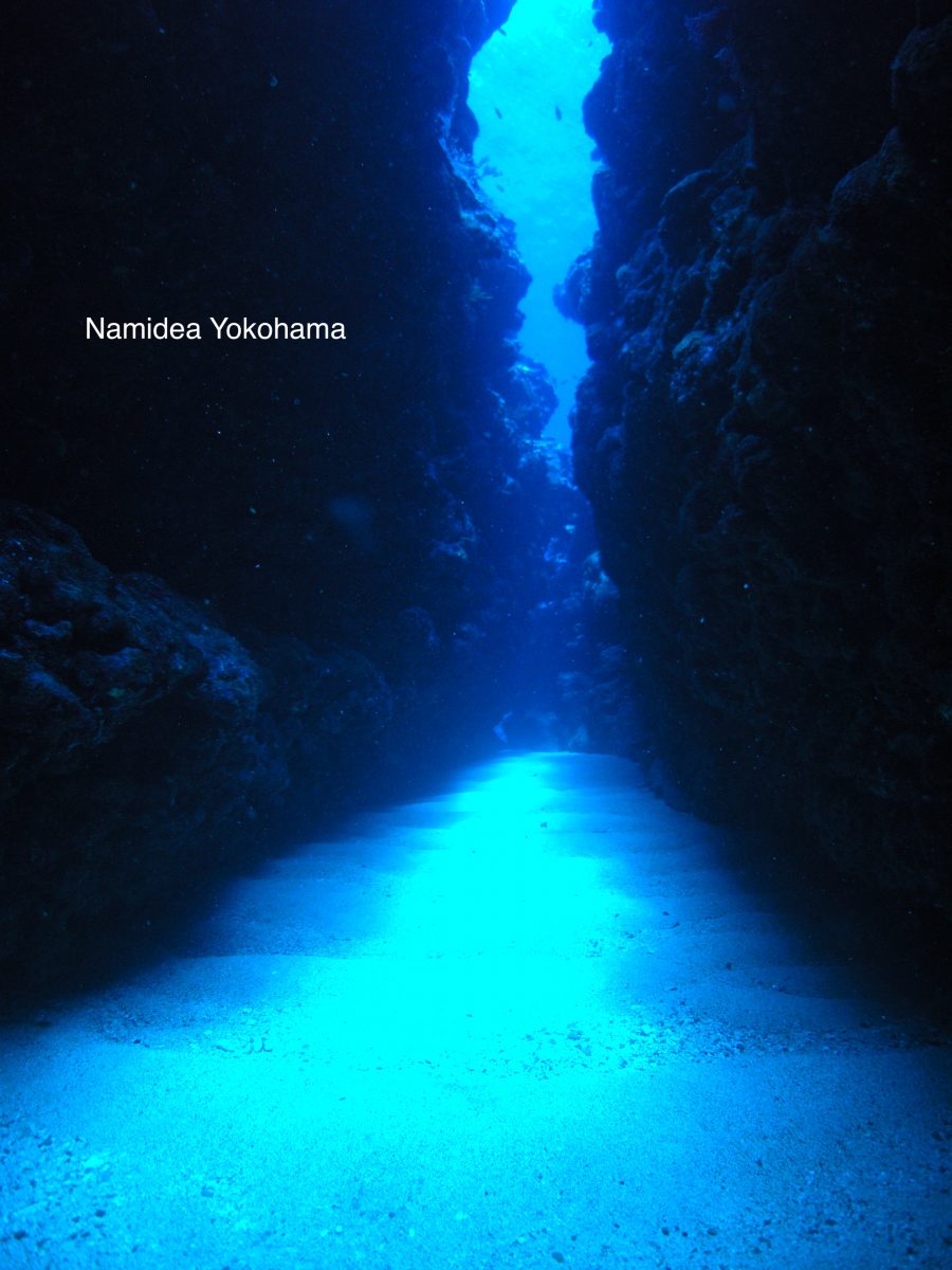 西表島の思い出の水路