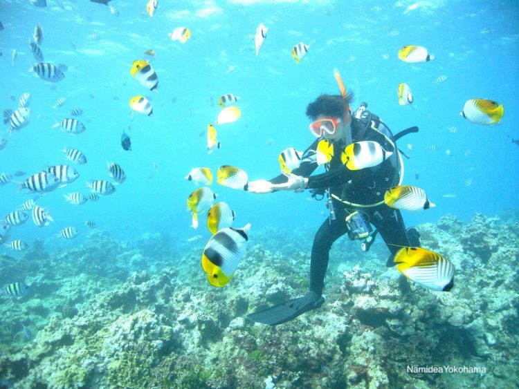 CORAL GARDENでのしのちゃん