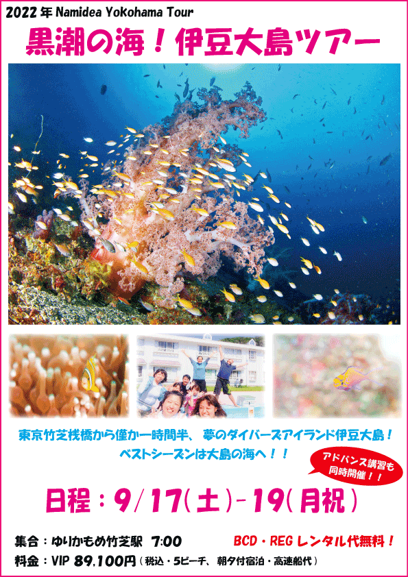 Namidea 秋の大島ツアー!