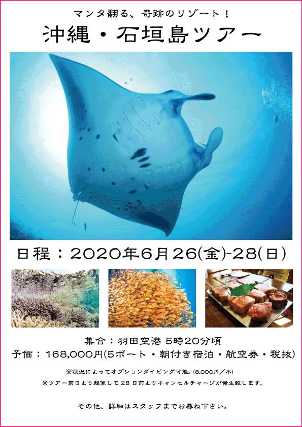 石垣島ツアーチラシ 2020