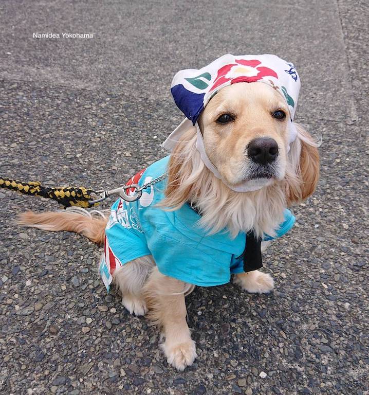 お見送り 伊豆大島 さるびあ丸