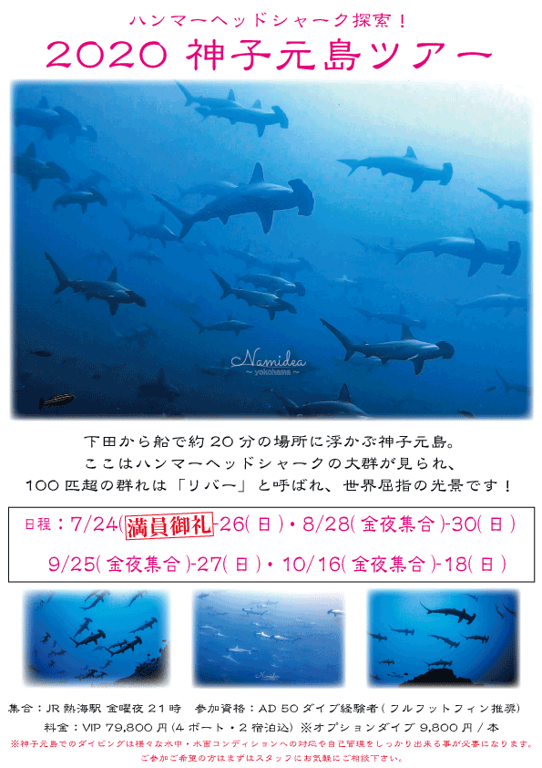 Namideaハンマーツアー!