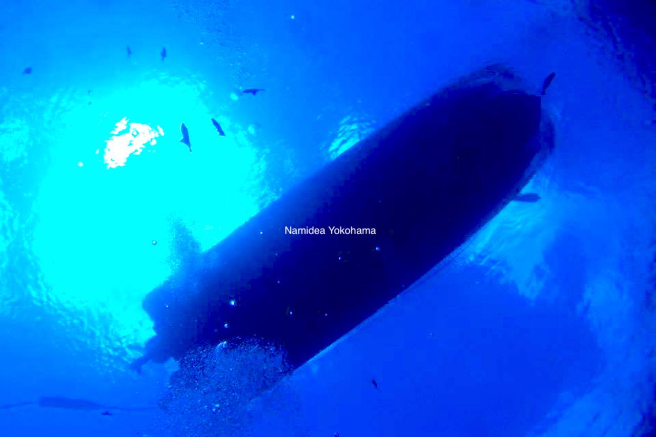 水中から見上げた景色