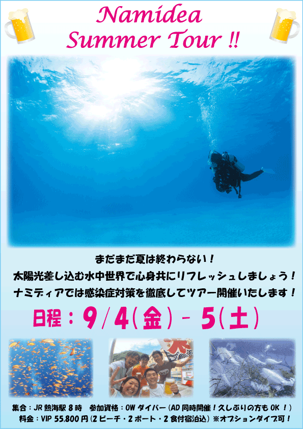Namidea Sumerツアー!