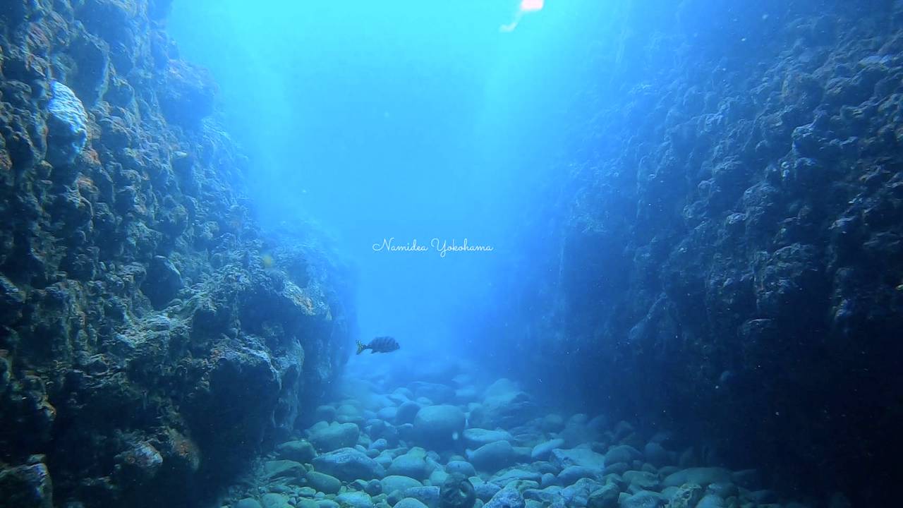 田子の小蝶アラシ 洞窟ポイント