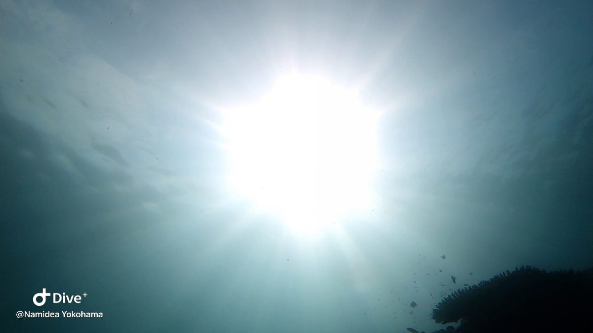 水中からみる太陽！