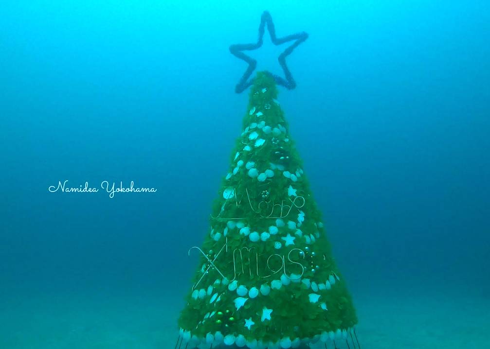 伊豆海洋公園のクリスマスツリー２０２０