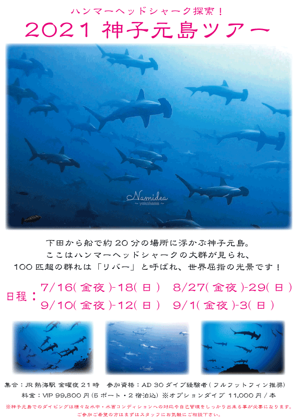 2021Namidea神子元島ツアー日程決定！