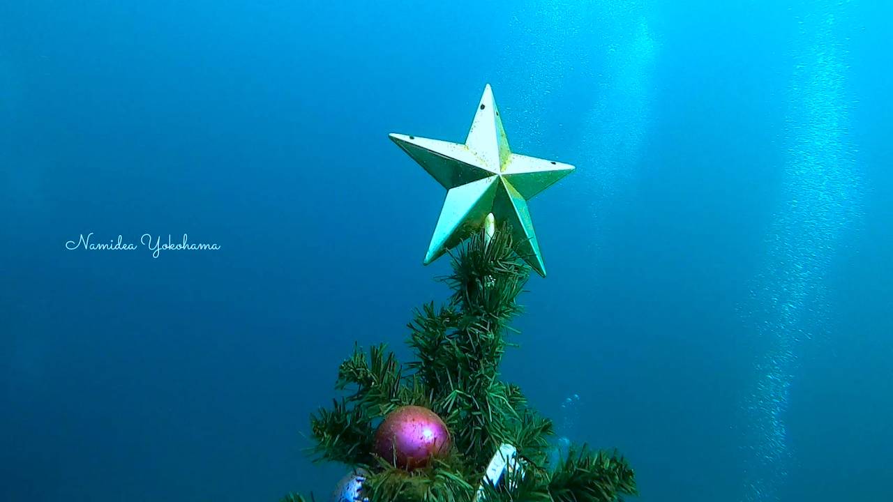 ライトアップもする大瀬崎のクリスマスツリー