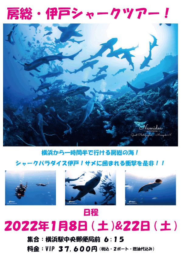 2022Namidea房総・伊戸ツアー!