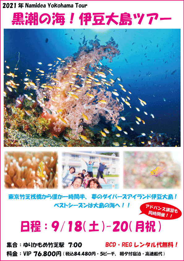 2021秋の伊豆大島!