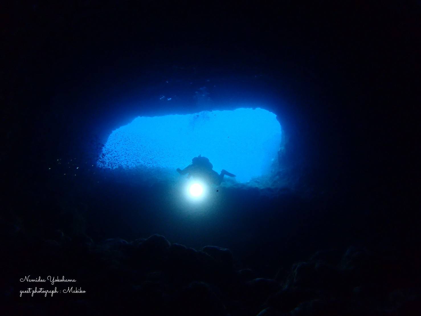 田子小蝶アラシ