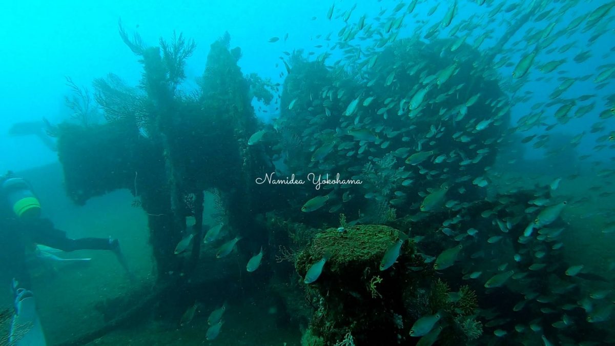 熱海沈船 旭十六号