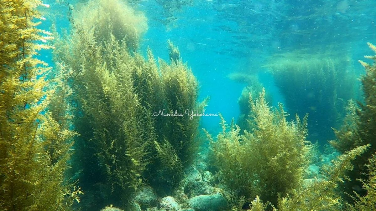 トンネルができるまであと少し