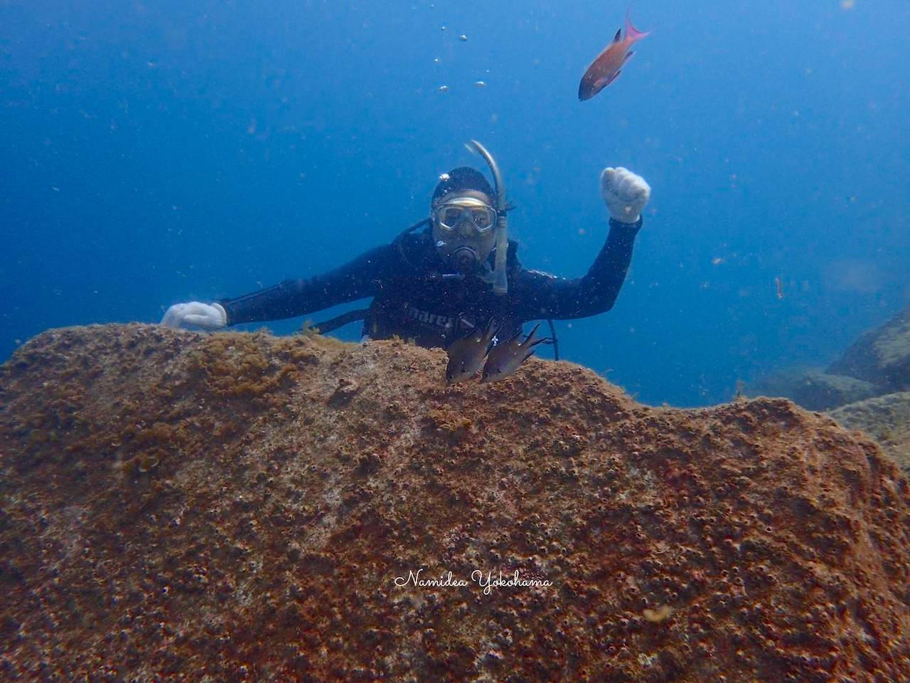体験ダイビングで潜る初めての伊豆の海