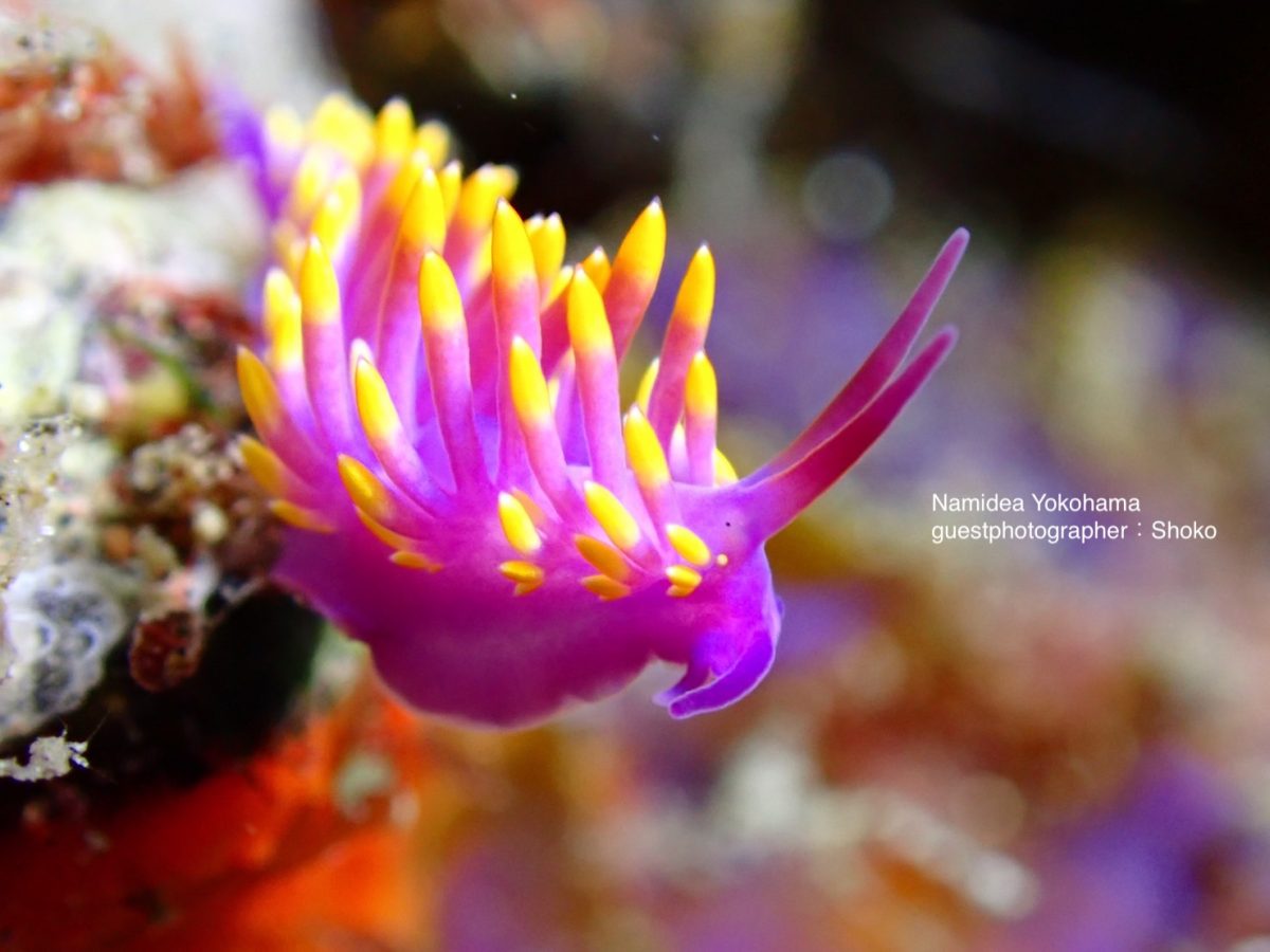 目がちゃんと見える