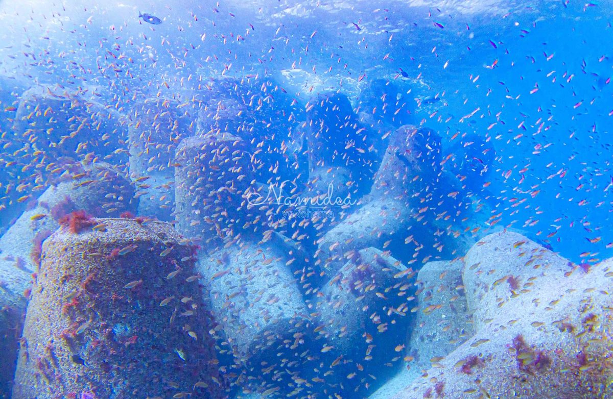 Namidea3月ラストスパート！