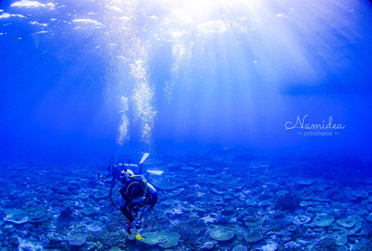 Namidea3月最終日！