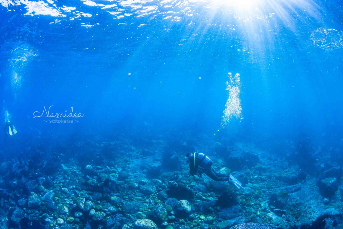 Namidea GW前半最終日！