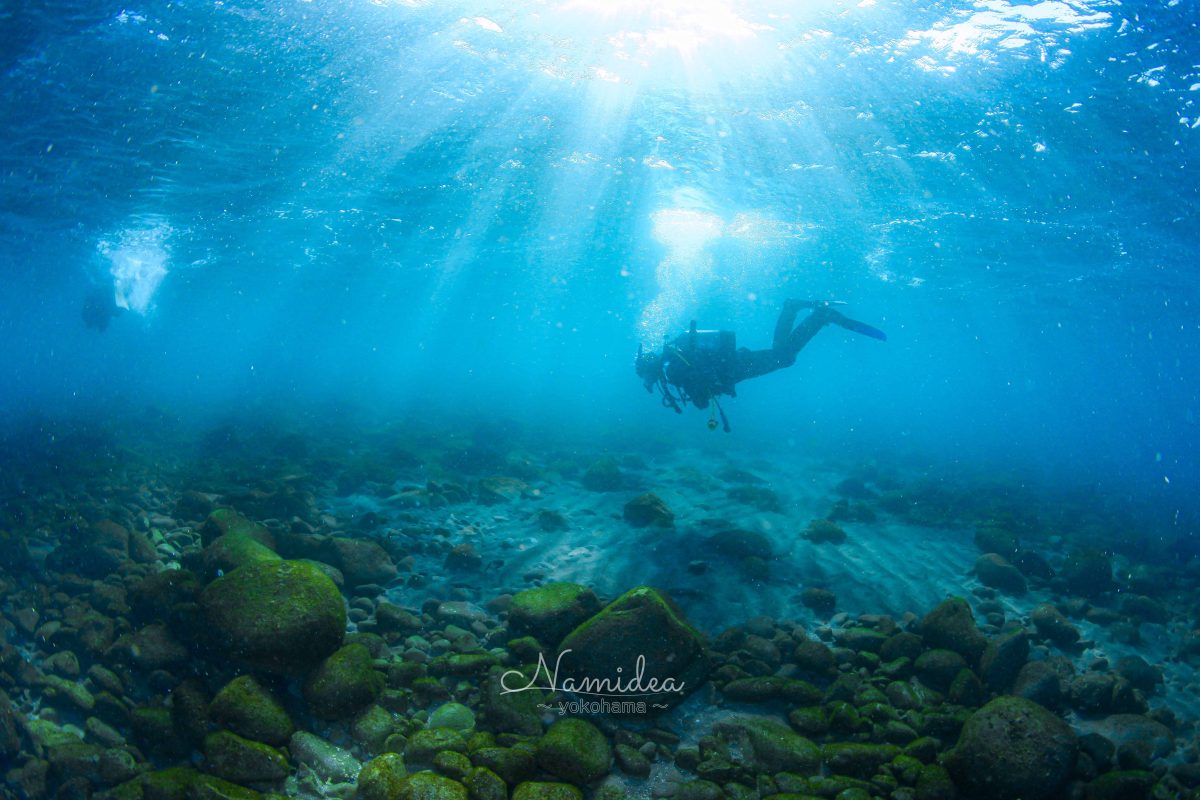 Namidea 水曜日も快晴！