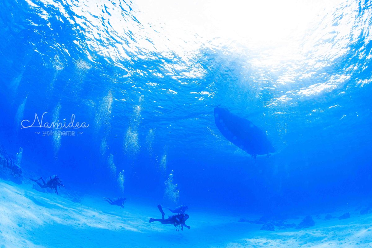 Namidea 週末の始まり！