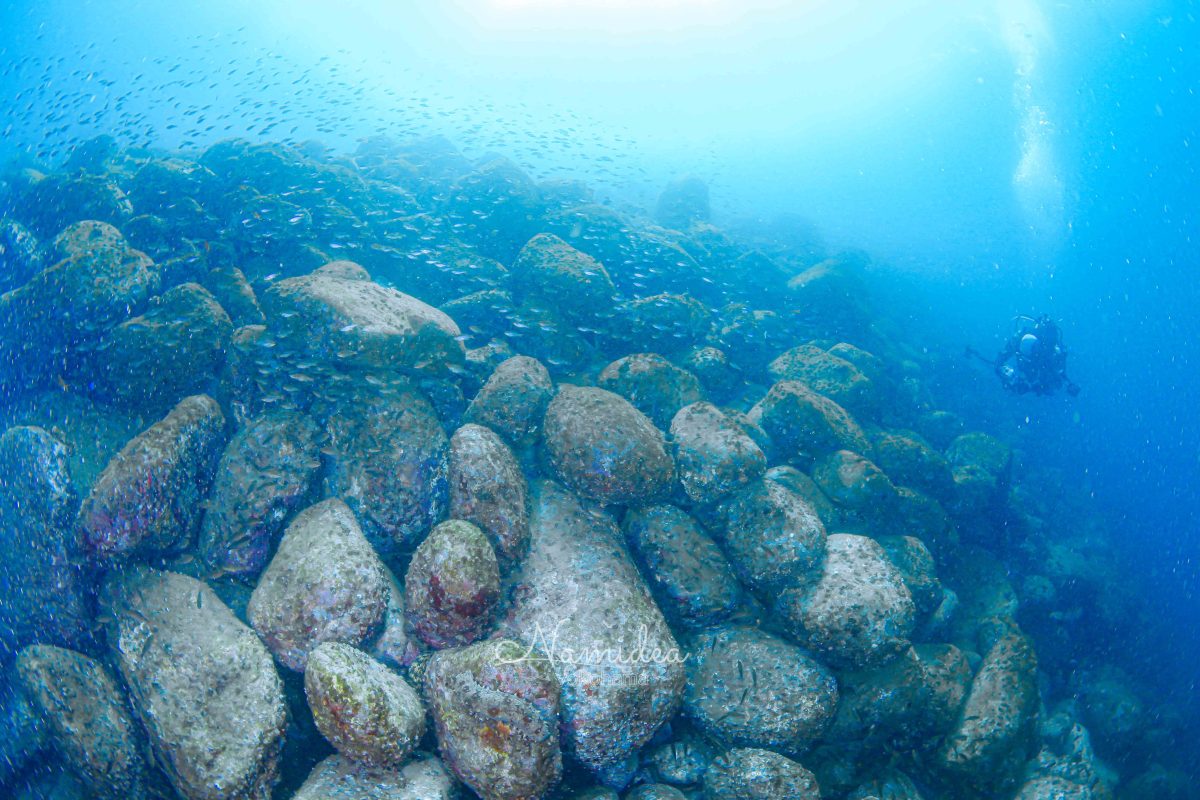 Namidea 曇り空の木曜日！