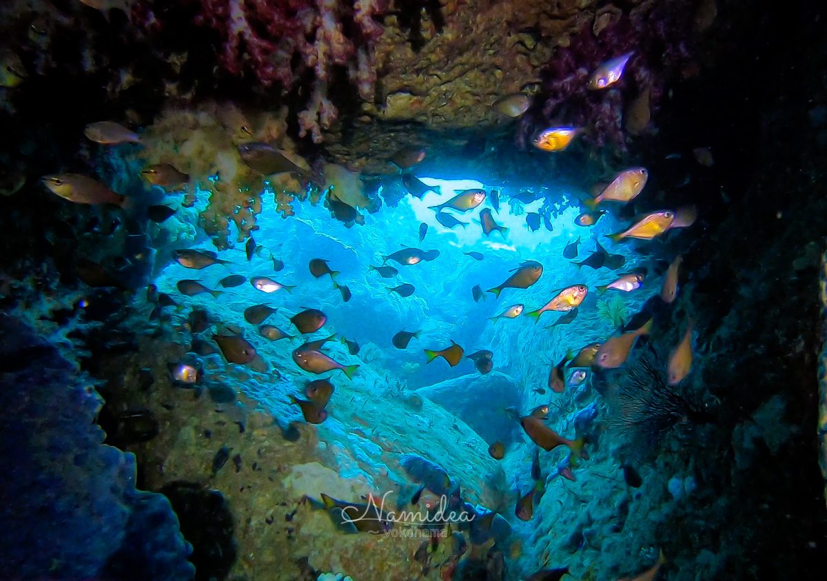 Namidea2022大人の夏休みツアー！