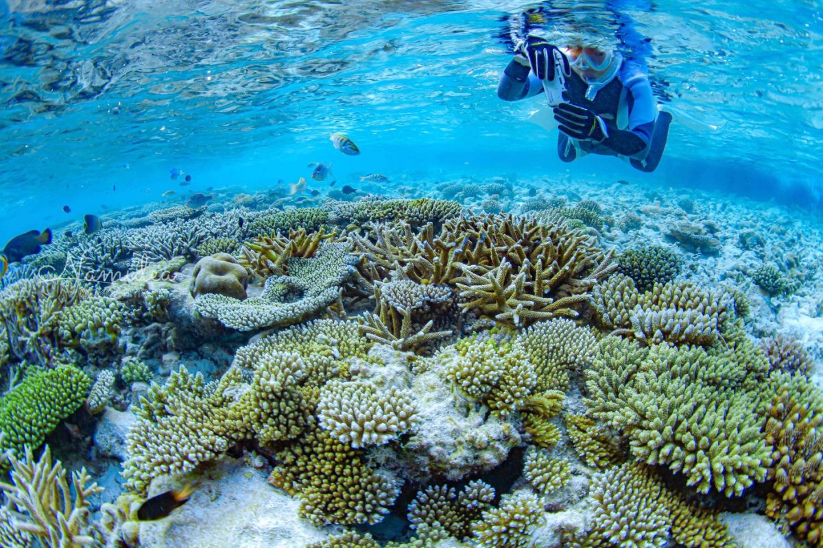 Namidea久しぶりの快晴！