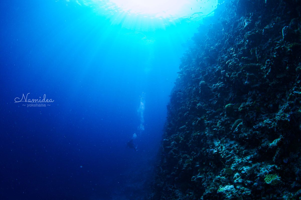 Namidea 2022七夕！