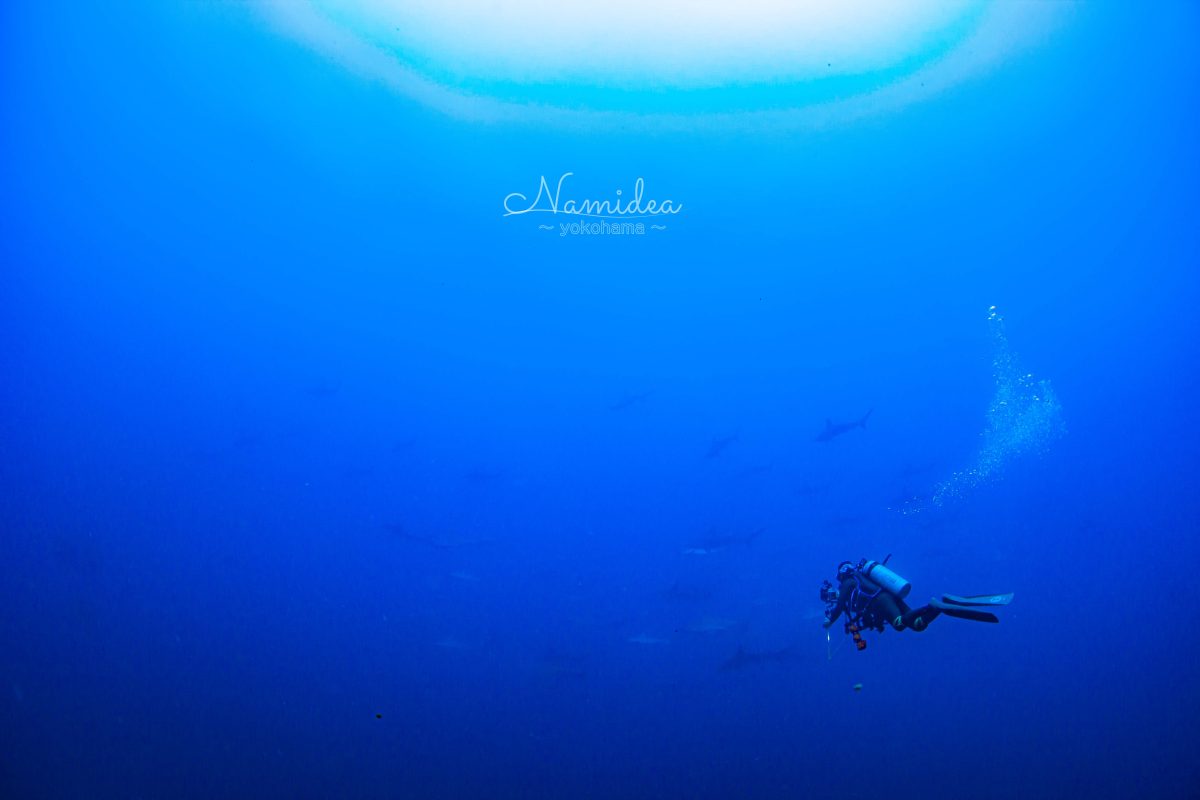 Namidea 押切JAPAN🇯🇵5連戦スタート！