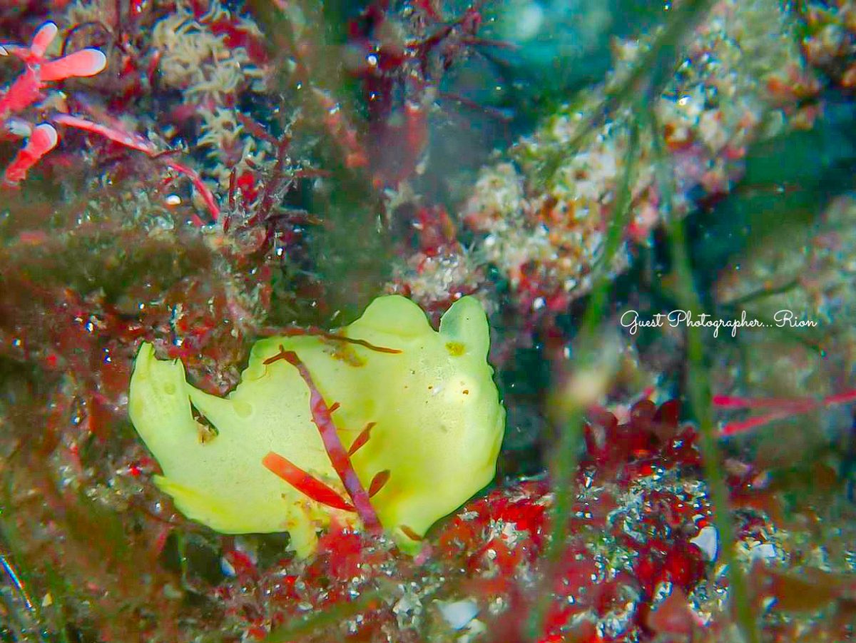 連休終わってまた連休！