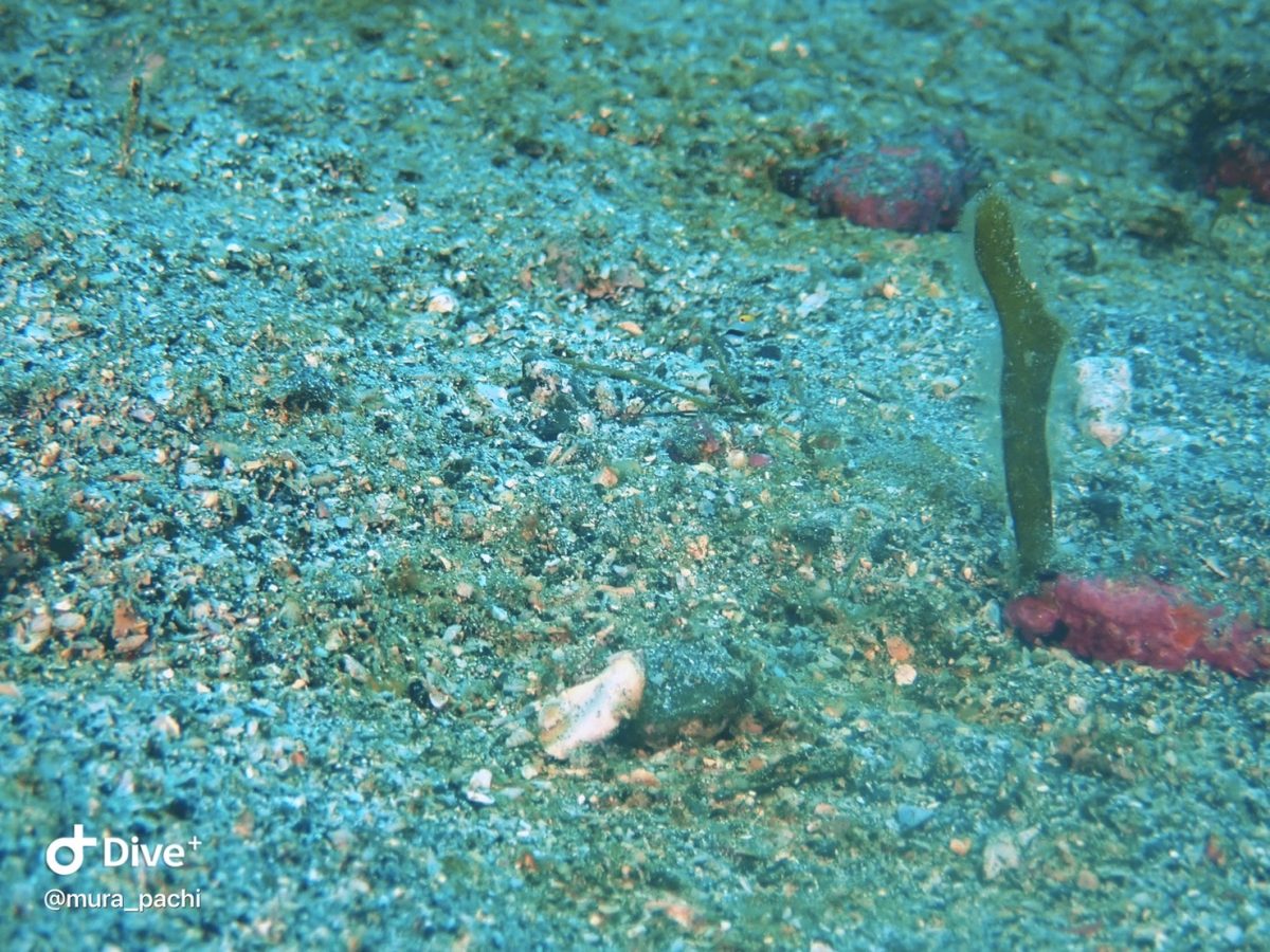 2022秋の連休スタート！