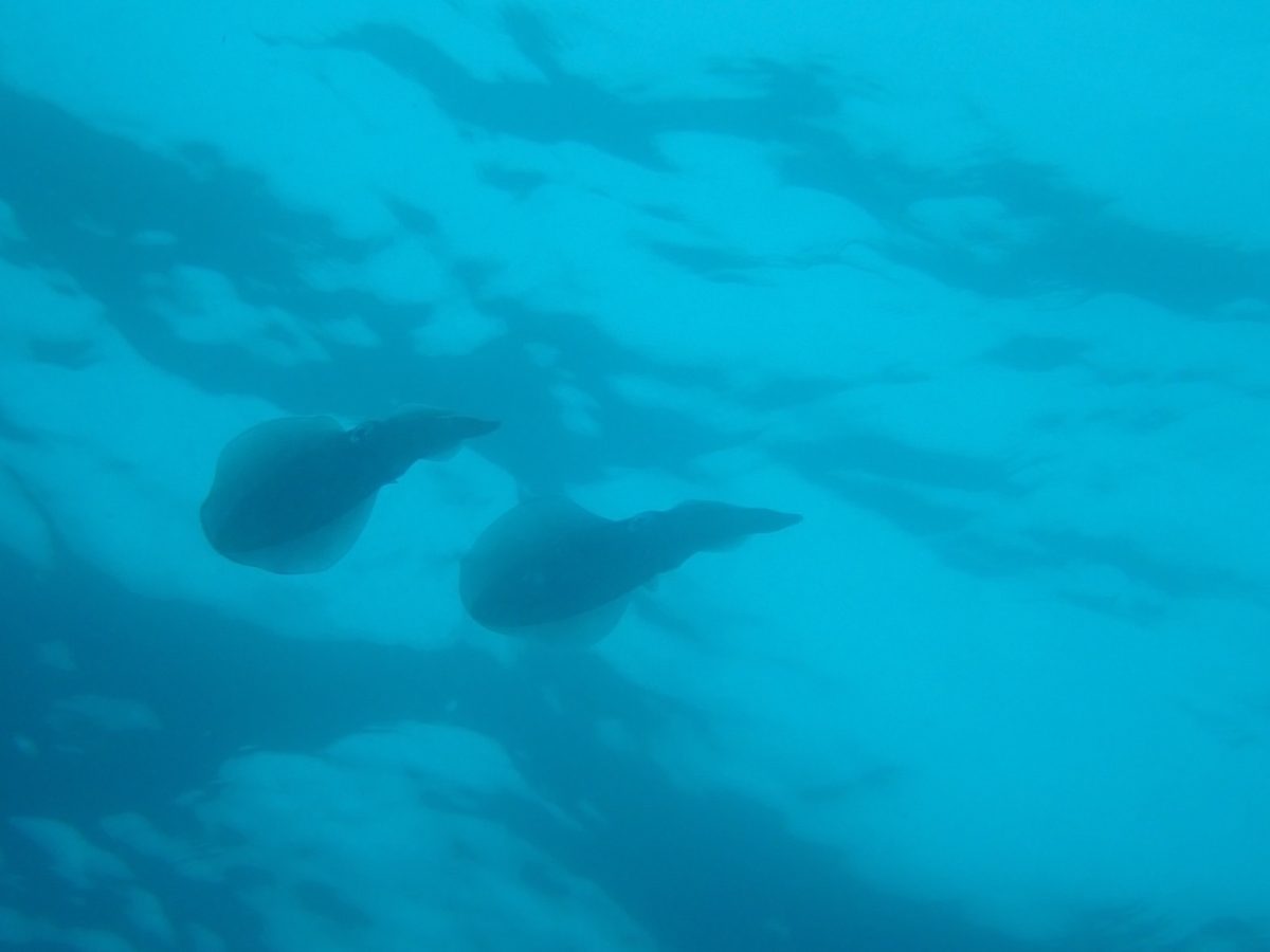 2022秋の連休スタート！