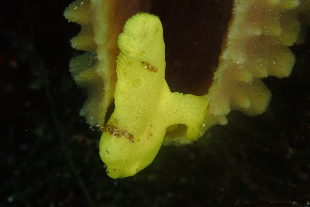 2022秋の連休スタート！