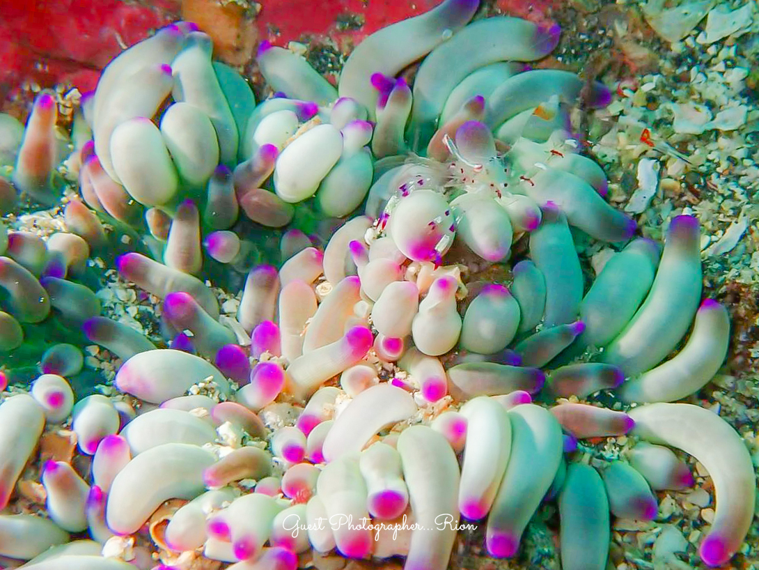 連休終わってまた連休！