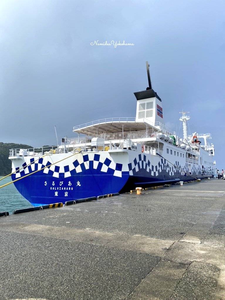 東海汽船さるびあ丸