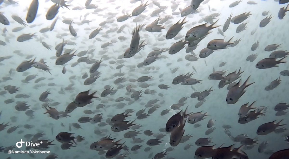 10月連休平沢ビーチ!