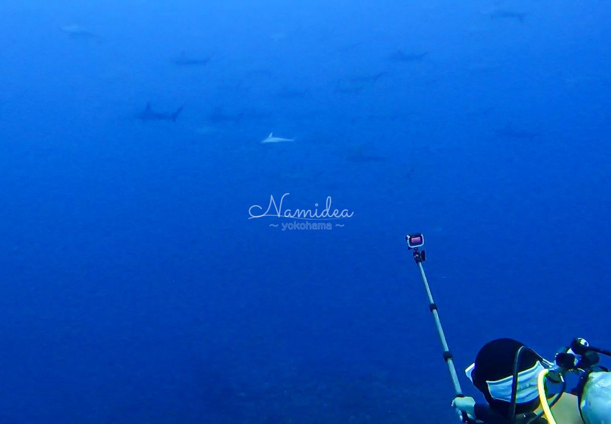 押切JAPAN🇯🇵9月最終戦報告!