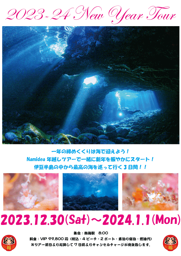 Namidea2023年越しツアー!