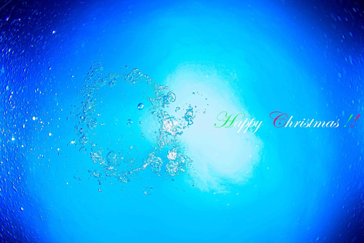 Namidea ハッピークリスマス!