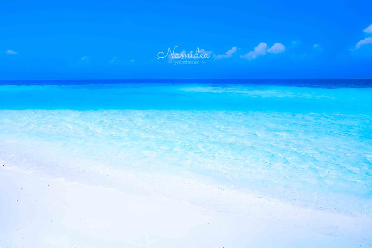 Namidea 新しい週の始まり！