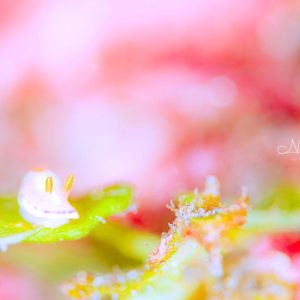 Namidea 3月最初の週末！