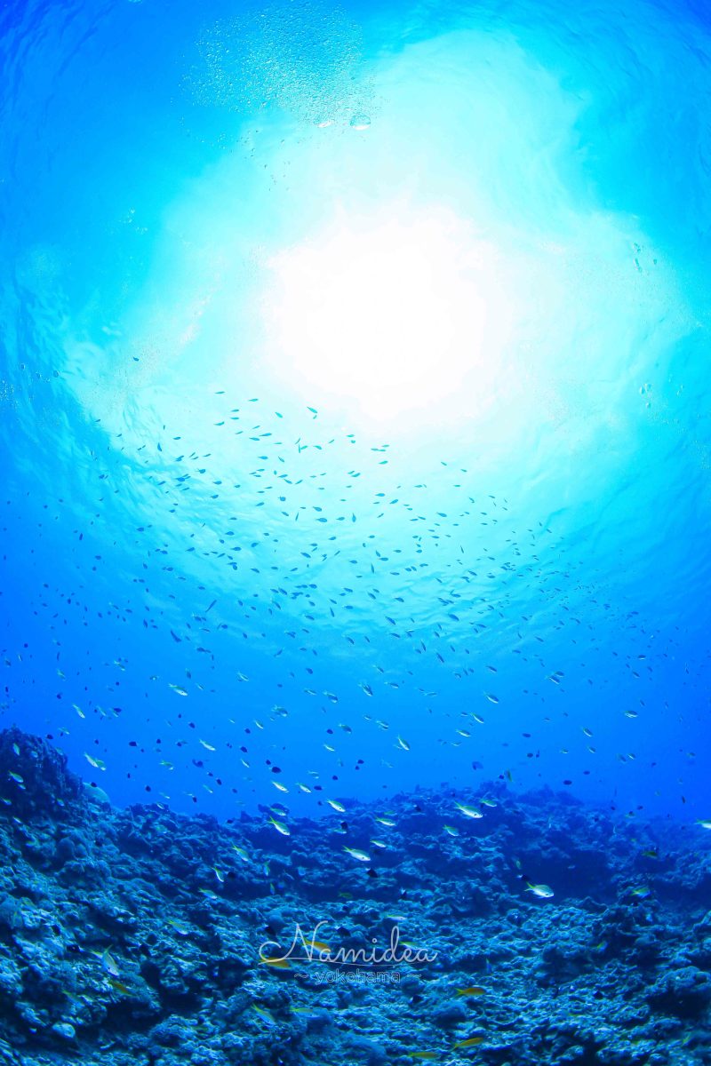 Namidea サンデーモーニング！