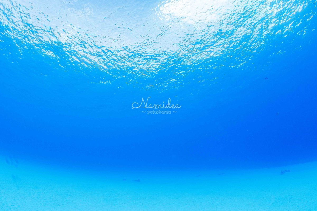 Namidea 34度予報の週始まり！